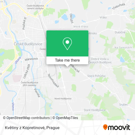 Květiny z Kopretinové map
