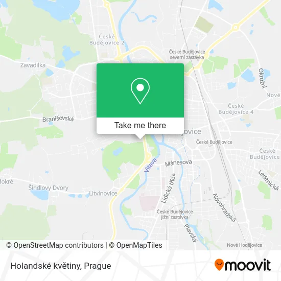 Карта Holandské květiny