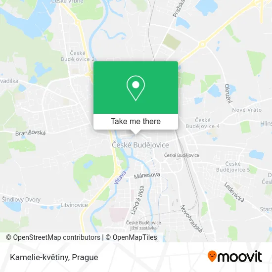 Kamelie-květiny map