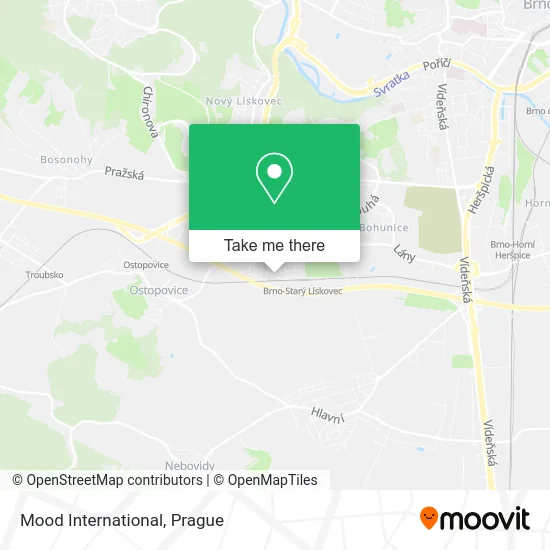 Mood International map