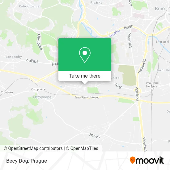 Карта Becy Dog