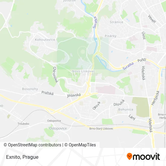 Карта Exnito
