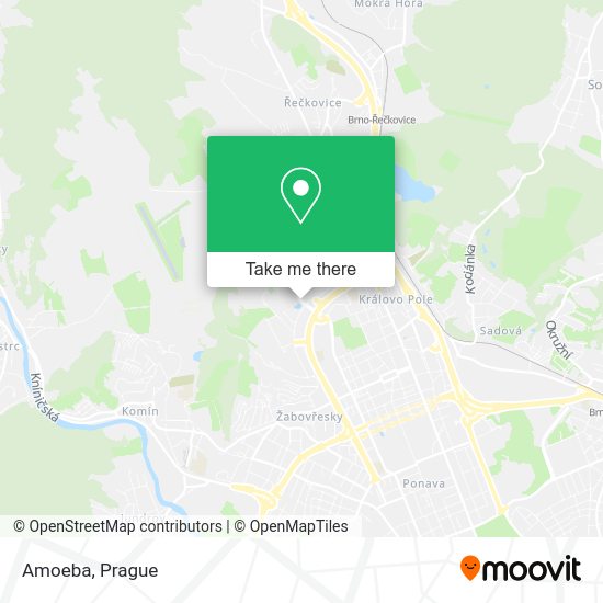 Карта Amoeba