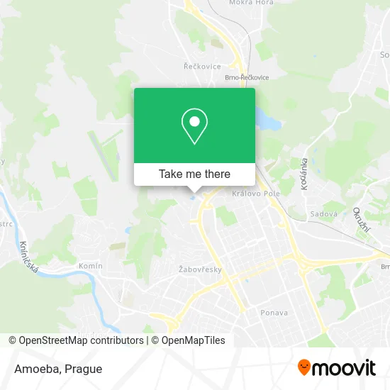 Карта Amoeba