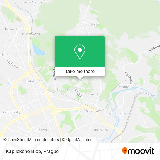 Карта Kaplického Blob