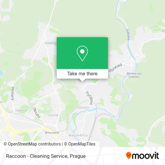Карта Raccoon - Cleaning Service