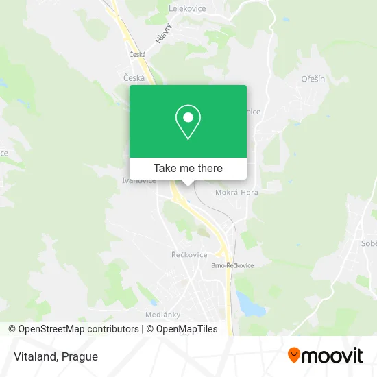Карта Vitaland