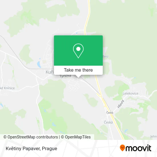 Květiny Papaver map