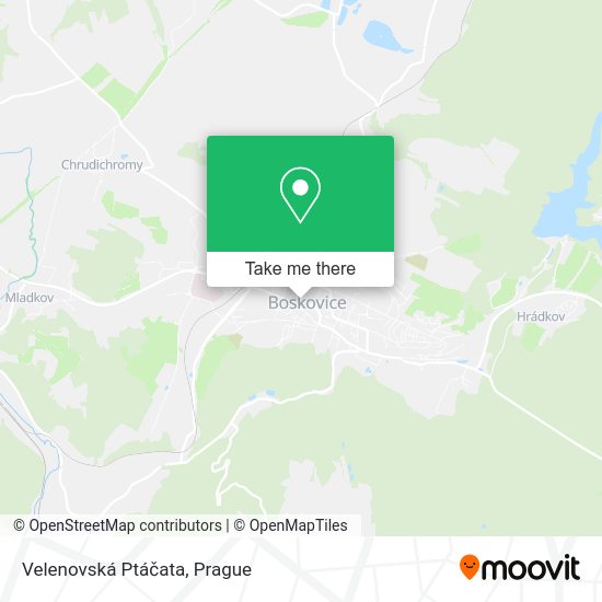 Карта Velenovská Ptáčata