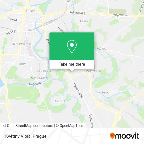 Květiny Viola map
