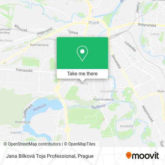 Карта Jana Bílková Toja Professional