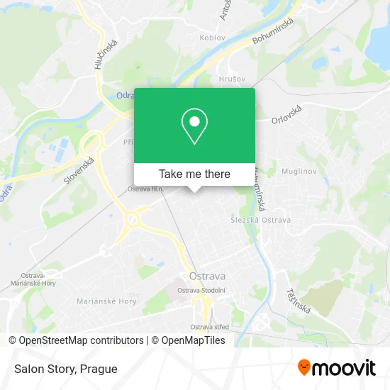 Карта Salon Story