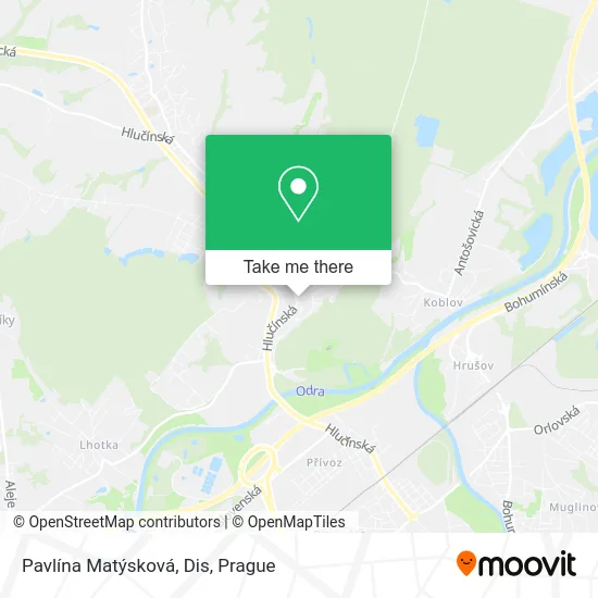 Pavlína Matýsková, Dis map