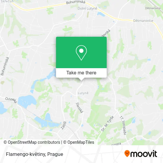 Flamengo-květiny map