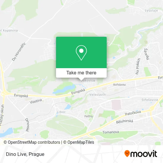 Dino Live map