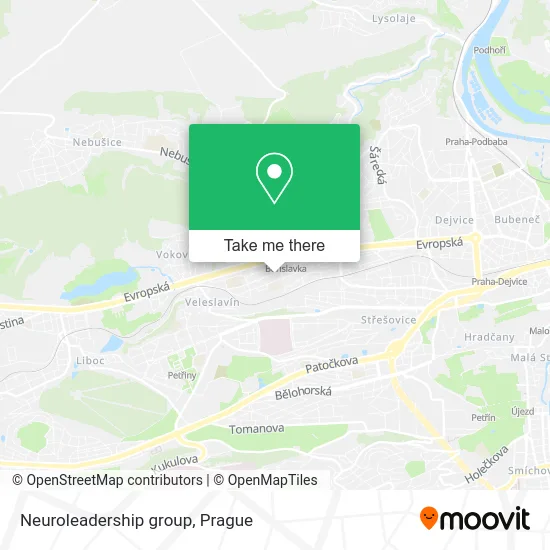 Карта Neuroleadership group