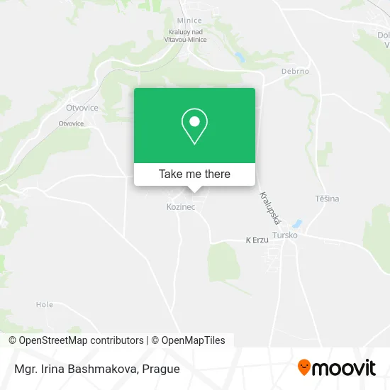 Mgr. Irina Bashmakova map