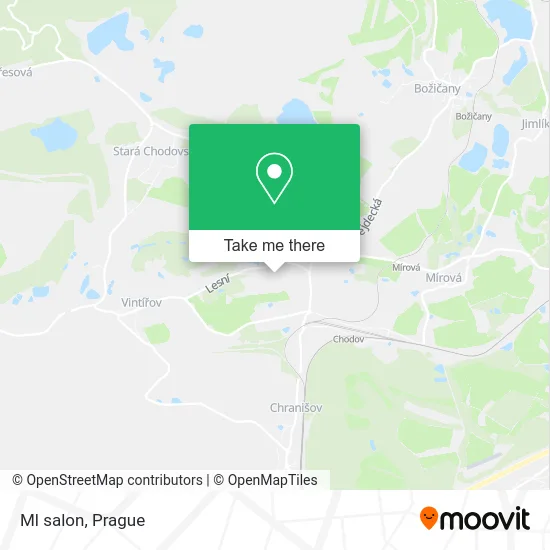 Карта Ml salon