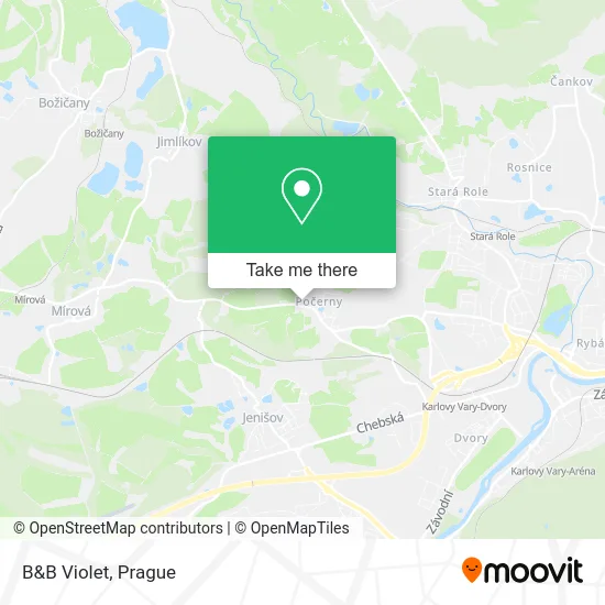 Карта B&B Violet