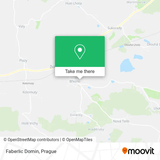 Карта Faberlic Domin