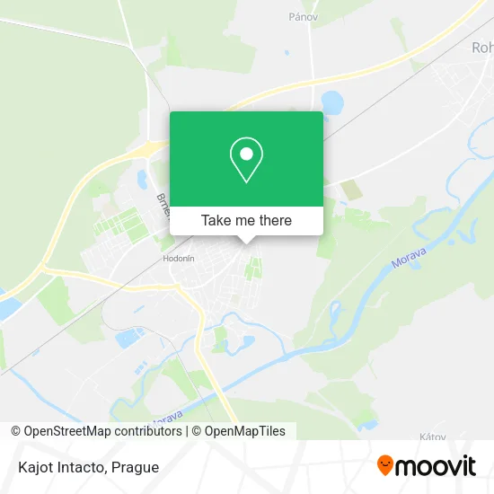 Карта Kajot Intacto