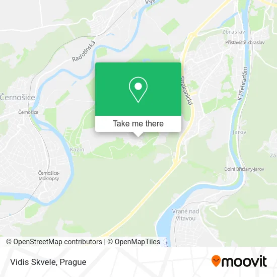 Карта Vidis Skvele