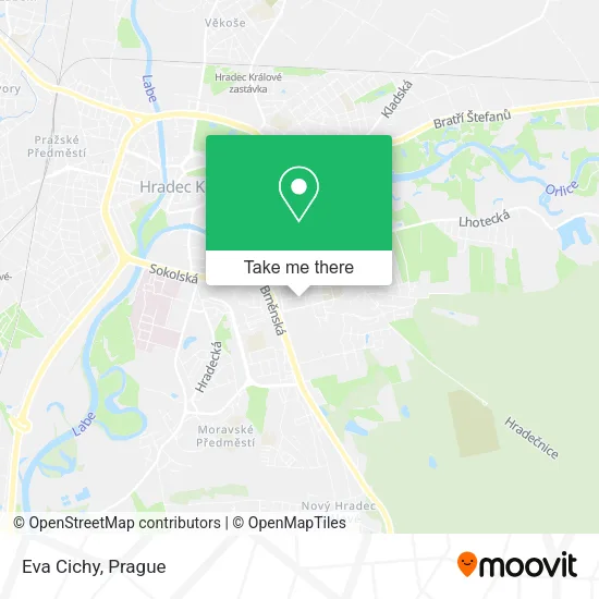 Eva Cichy map