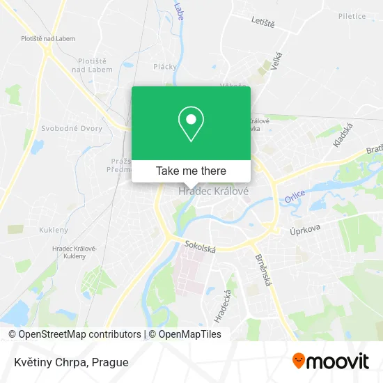 Карта Květiny Chrpa