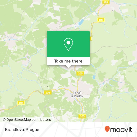 Brandlova map