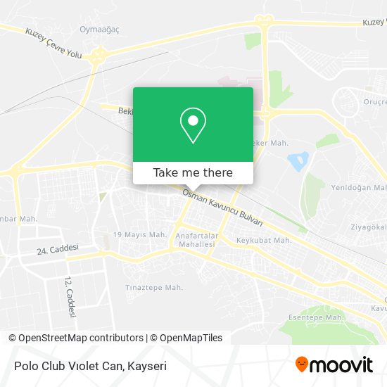 Polo Club Vıolet Can map