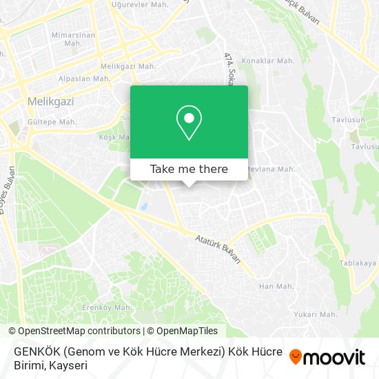 GENKÖK (Genom ve Kök Hücre Merkezi) Kök Hücre Birimi map