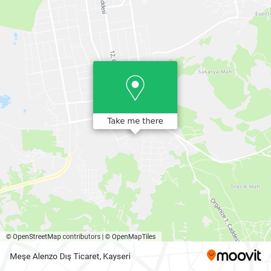 Meşe Alenzo Dış Ticaret map