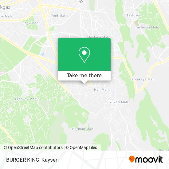 BURGER KING map