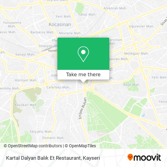Kartal Dalyan Balık Et Restaurant map
