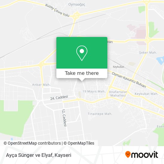 Ayça Sünger ve Elyaf map