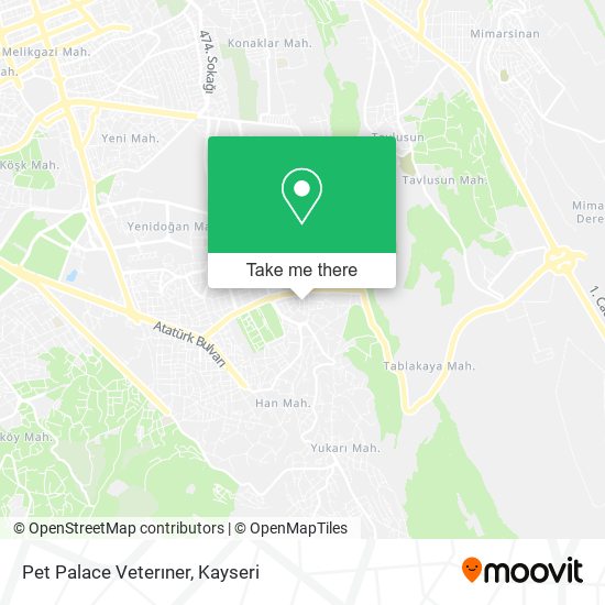 Pet Palace Veterıner map