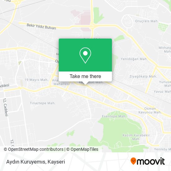 Aydın Kuruyemıs map