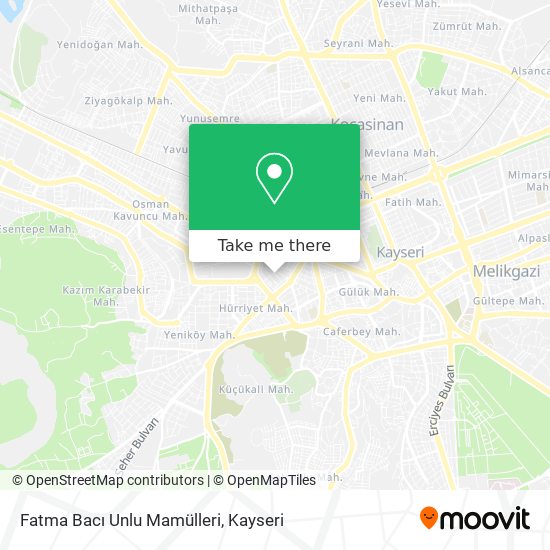 Fatma Bacı Unlu Mamülleri map
