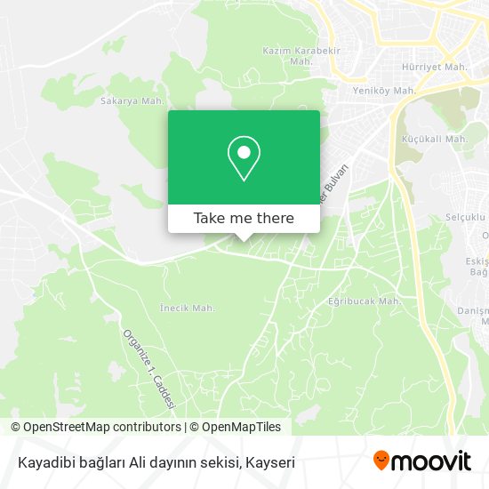 Kayadibi bağları Ali dayının sekisi map