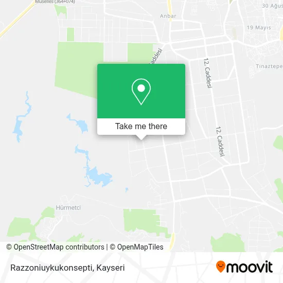 Razzoniuykukonsepti map