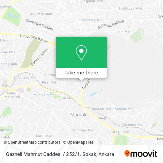 Gazneli Mahmut Caddesi / 252 / 1. Sokak map