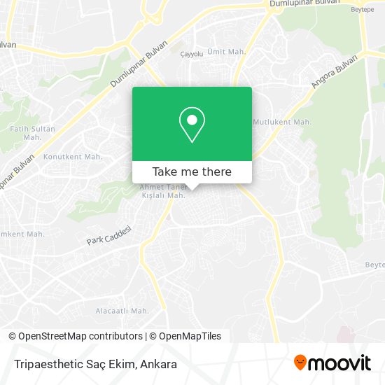 Tripaesthetic Saç Ekim map