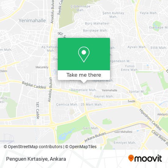 Penguen Kırtasiye map
