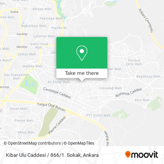 Kibar Ulu Caddesi / 866 / 1. Sokak map