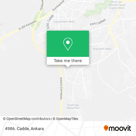 4986. Cadde map