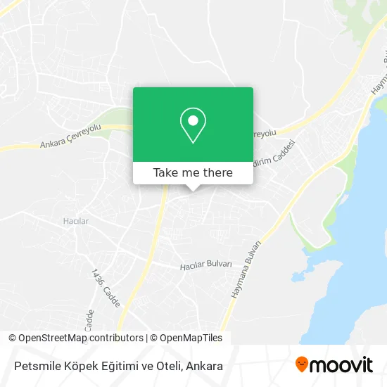 Petsmile Köpek Eğitimi ve Oteli map