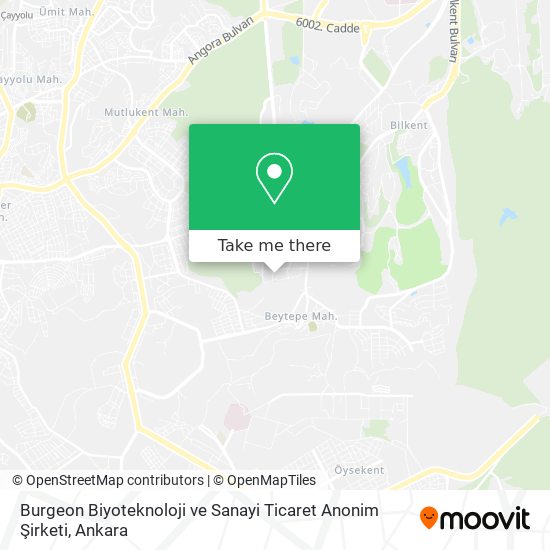 Burgeon Biyoteknoloji ve Sanayi Ticaret Anonim Şirketi map