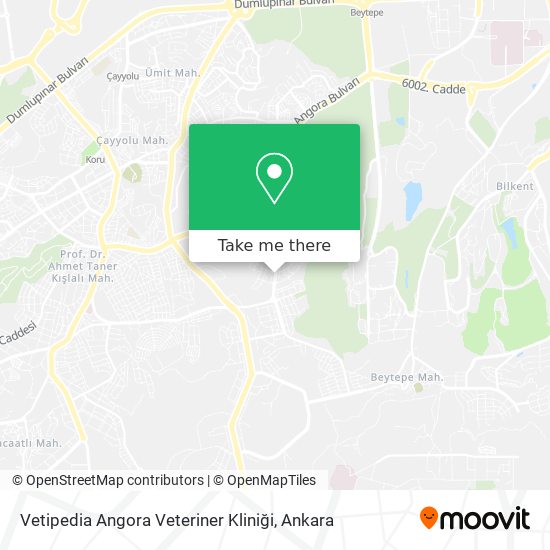 Vetipedia Angora Veteriner Kliniği map