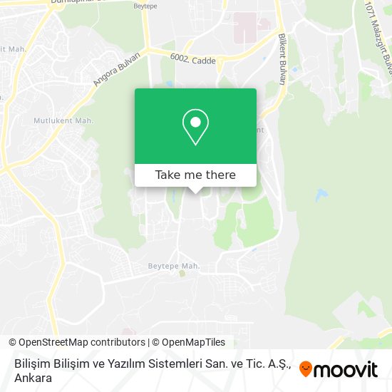 Bilişim Bilişim ve Yazılım Sistemleri San. ve Tic. A.Ş. map