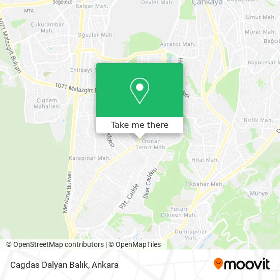 Cagdas Dalyan Balık map